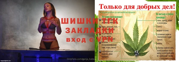 соль ск Алексин