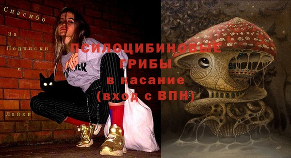 соль ск Алексин