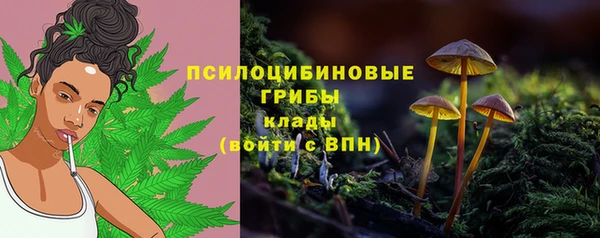 соль ск Алексин