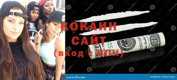 соль ск Алексин